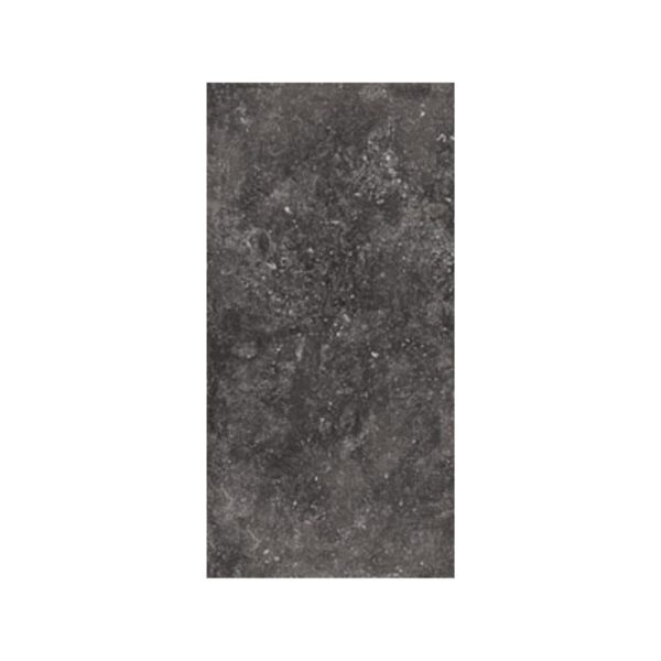 PAVOSBL1224