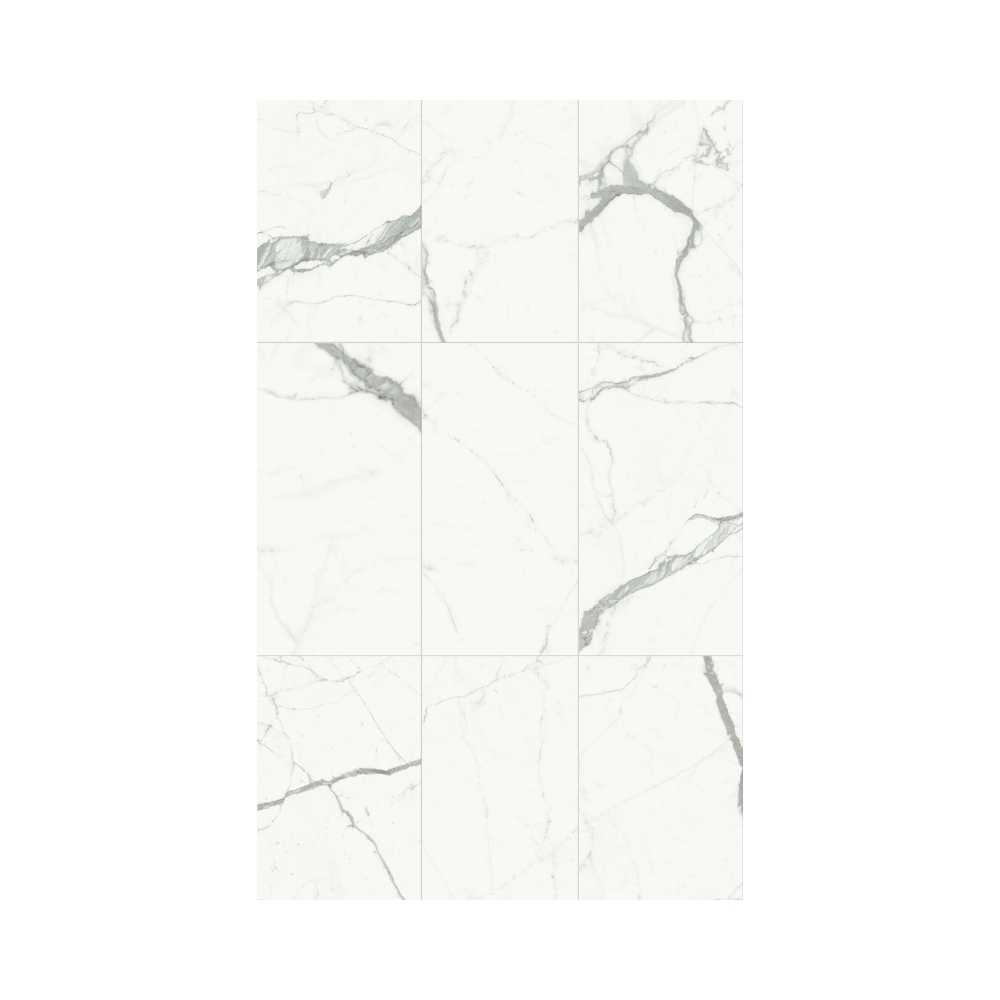 Bianco Ven.Extra 24X48 Polished