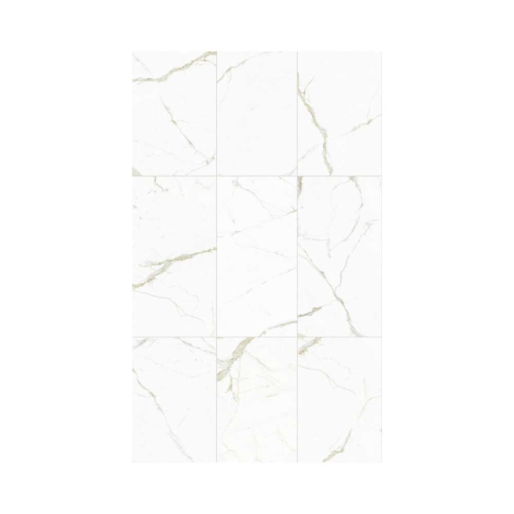 White Calacatta 24X48 Polished