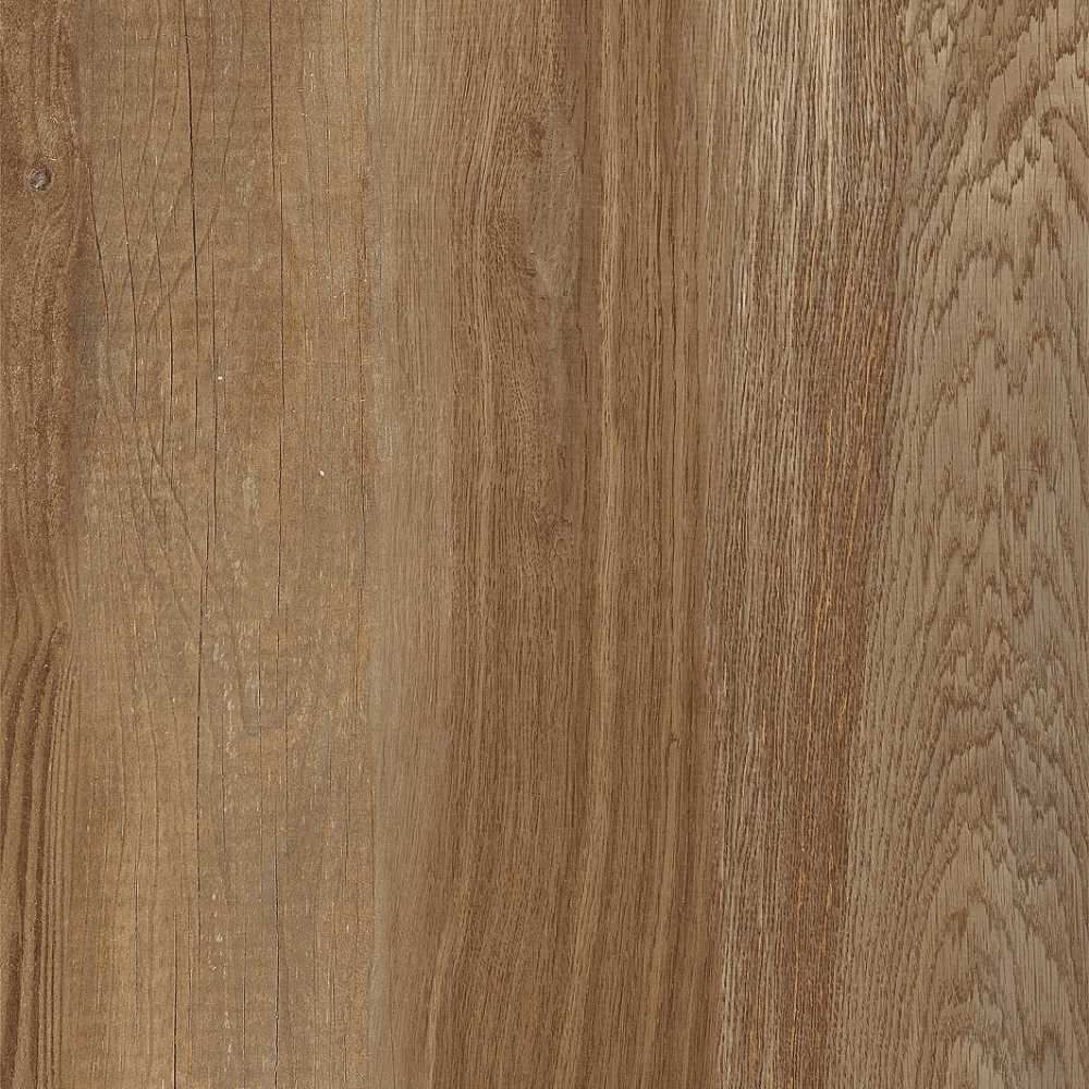 Albero3 Canarywood