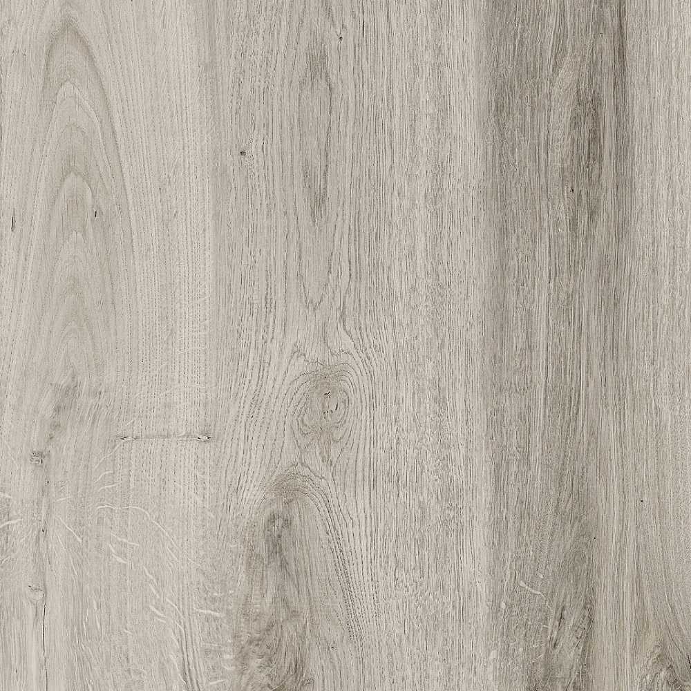 Albero3 Cypress
