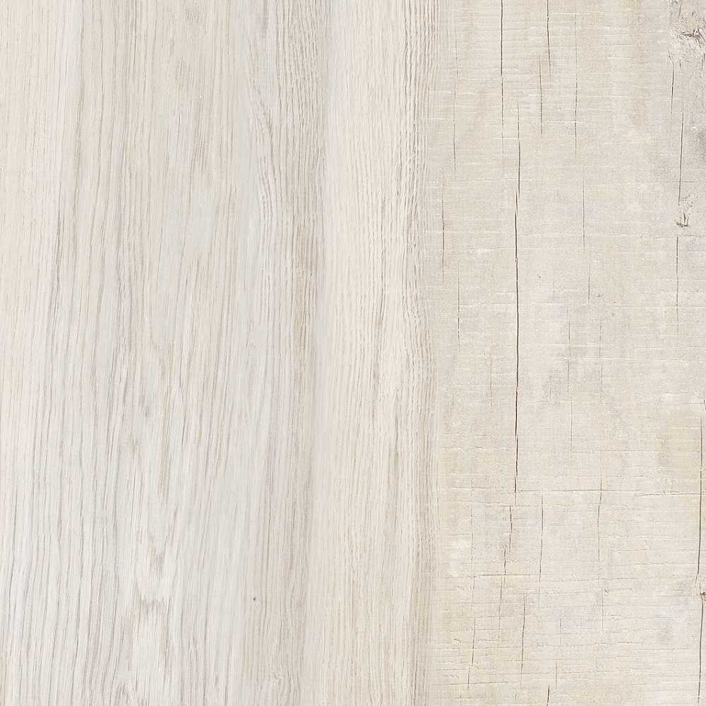 Albero3 Nutwood