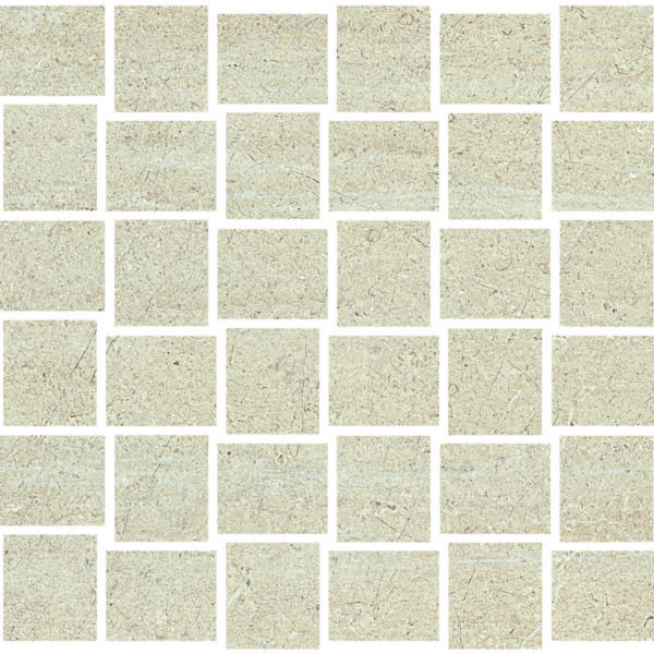 Bianco 2X2 Parq Mosaic Matte