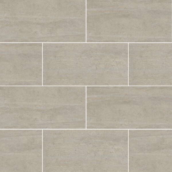 Grey 12X24 Matte