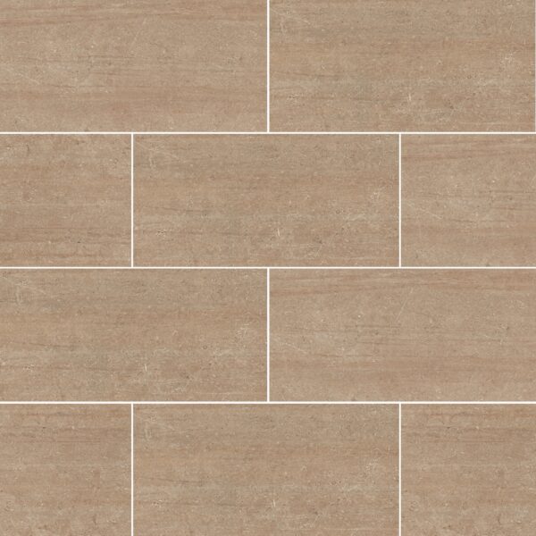 Visone 12X24 Matte