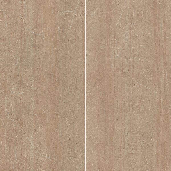 Visone 24X48 Matte