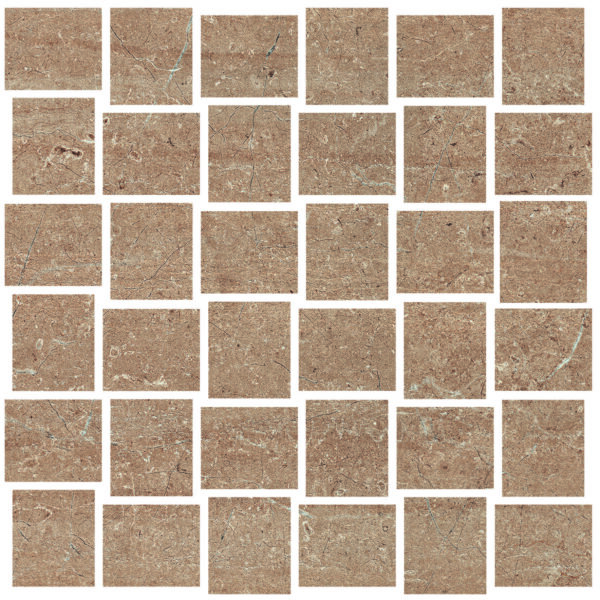 Visone 2X2 Parq Mosaic Matte