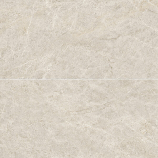 Regal Taj Mahal 24X48 Polished